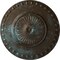 Ekena Millwork Lyon Ceiling Medallion (Fits Canopies up to 3 5/8"), 23 1/2"OD x 3 1/4"P, Bronze Blue Patina CM23LYBBS - alternate 1
